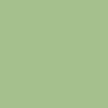 Electric Green 49
