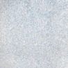 SPARKLES 51